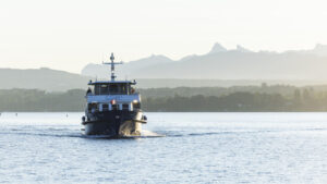Genfersee-Trinkwasser laut Expertenbericht trotz Schadstoff sicher