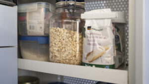 Forscher untersuchen lange verschollene Schweizer Hafersorte