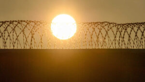 Mutmasslich falsche Händlerin soll Künstler betrogen haben