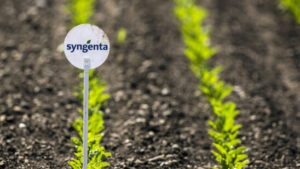 Syngenta Group steigert Gewinn in den ersten neun Monaten kräftig