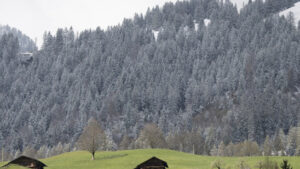 Mountainbiker nach Unfall in Erlenbach BE verstorben