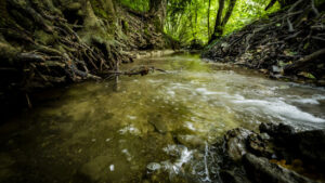 Bundesrat schnürt Paket zum Schutz von Trinkwasser und Gewässern