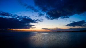 Schweizer Forscher verfolgen geheime Wege von Meeresbewohnern