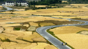 Methan-Ausstoss sinkt laut Uno-Bericht langsamer als nötig