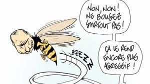 Pitch Comment gewinnt Swiss Cartoon Award