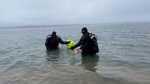 Dutzende Taucher befreien rechts Thunerseeufer von Abfall