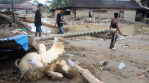 Fluten in Indonesien: Zahl der Toten steigt auf mehr als 600