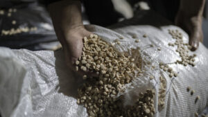 UN: 15 grosse Drogen-Labore seit Assad-Sturz geschlossen