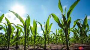 EU-Einigung auf Abschwächung von Gentechnik-Regeln