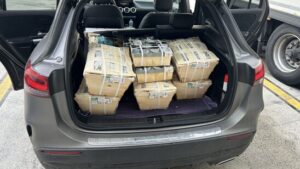 Zoll stellt nicht mehr frische Austern für Weihnachtsmärkte sicher