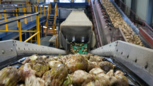 Defekter Ofen legt Zuckerfabrik Frauenfeld weiterhin lahm