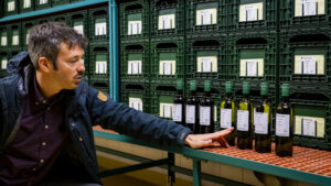 Sieben neue Rebsorten sollen Pestizide im Weinbau massiv reduzieren