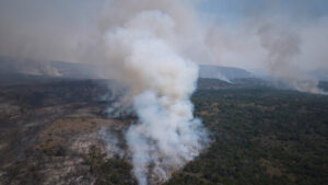 Waldbrände in Patagonien: Argentinien ruft den Notstand aus
