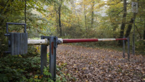 Irreguläre Migration in die Schweiz hat sich 2025 halbiert