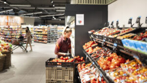 Tomaten warnen Nachbarpflanzen mit Duft vor Viren