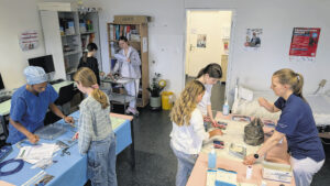 Mitarbeitende geben persönliche Einblicke in ihre Berufe